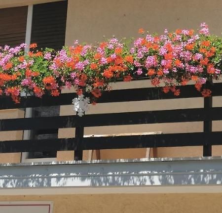 Fiocco Di Neve Hotel Tarvisio Exterior photo